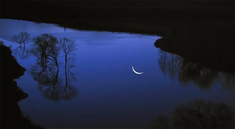 Ӱ֮£ΩҪ